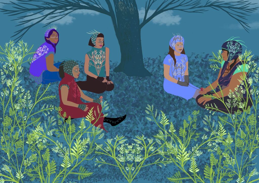 La cacerola, edición #5